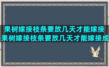 果树嫁接枝条要放几天才能嫁接 果树嫁接枝条要放几天才能嫁接成功